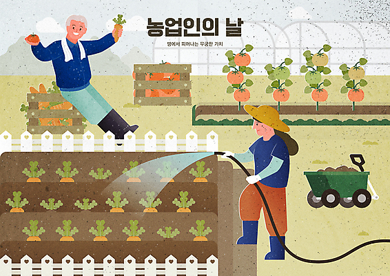 전신 여자 남자 밭 토마토 일러스트 들기 앉기 성인 두명 상자 손들기 기댐 당근 수확 농부 비닐하우스 농업인의날 다리펴기 물뿌리기 물호스 성인만 국내일러스트 AI파일 직업 기념일 농업 채소 모션 뿌리채소 사람 호스 파일형식 벡터