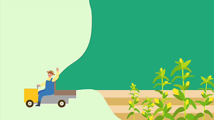 전신 식물 남자 옥수수 한명 미소 성인 초록색 손들기 농사 운전 수확 인사 농부 승차 농기구 유기농 담기 손인사 옥수수밭 동영상 경운기 성인남자한명만 모션그래픽 MP4 MOV 직업 1 웰빙 컬러 밭 농업 모션 곡류 표정 사람 예절 농기계 남자한명만 성인남자만 파일형식