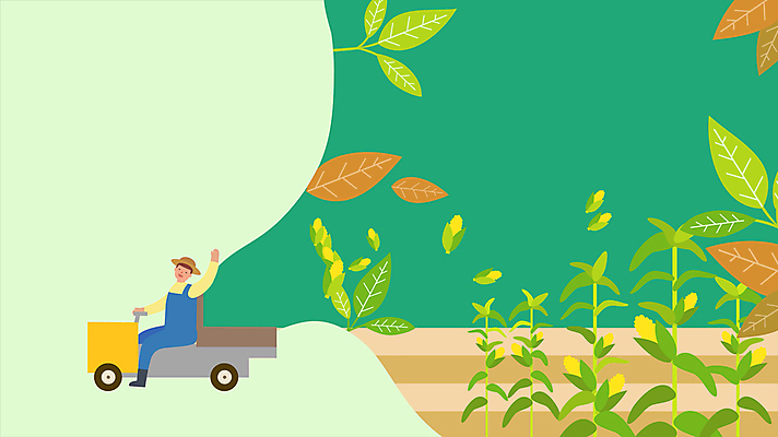 전신 남자 나뭇잎 옥수수 한명 미소 성인 초록색 손들기 농사 운전 수확 인사 농부 승차 농기구 유기농 담기 손인사 옥수수밭 동영상 경운기 성인남자한명만 모션그래픽 MP4 MOV 직업 1 웰빙 컬러 잎 밭 농업 모션 곡류 표정 사람 예절 농기계 남자한명만 성인남자만 파일형식