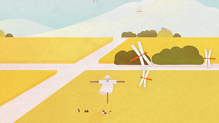 두마리 밭 자연 산 사람없음 노란색 가을풍경 고양이 벼 농촌 시골 허수아비 고추잠자리 동영상 풍년 모션그래픽 MP4 MOV 컬러 2 농업 포유류 곡류 풍경 반려동물 수확 잠자리 생태계 파일형식 가을_계절