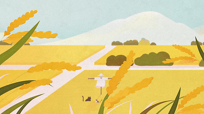 두마리 밭 자연 산 사람없음 노란색 가을풍경 고양이 벼 농촌 시골 허수아비 동영상 풍년 모션그래픽 MP4 MOV 컬러 2 농업 포유류 곡류 풍경 반려동물 수확 생태계 파일형식 가을_계절