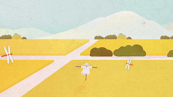 밭 자연 산 사람없음 노란색 가을풍경 벼 농촌 시골 허수아비 고추잠자리 동영상 풍년 모션그래픽 MP4 MOV 컬러 농업 곡류 풍경 수확 잠자리 생태계 파일형식 가을_계절