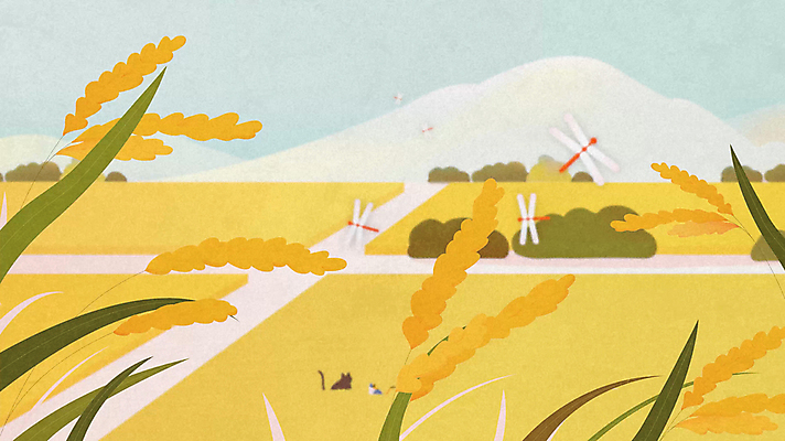 두마리 밭 자연 산 사람없음 노란색 가을풍경 고양이 벼 농촌 시골 고추잠자리 동영상 풍년 모션그래픽 MP4 MOV 컬러 2 농업 포유류 곡류 풍경 반려동물 수확 잠자리 생태계 파일형식 가을_계절