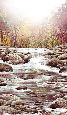 PSD 나무 계절 백그라운드 단풍 일러스트 자연 풍경 사람없음 물 햇빛 가을풍경 계곡 폭포 가을 바위 숲 국내일러스트 자연요소 식물 잎 태양 돌_바위 생태계 파일형식 가을_계절