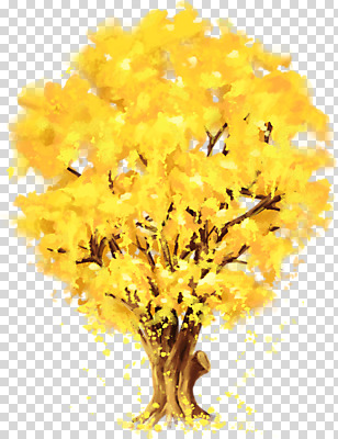 편집 편집이미지 백그라운드 누끼 사람없음 노란색 가을 은행잎 은행나무 PNG 편집소스 나무 계절 컬러 잎 파일형식