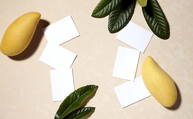 포토 JPG 종이 백그라운드 나뭇잎 사람없음 오브젝트 망고 베이지색배경 카피스페이스 국내포토 잎 공백 열대과일 베이지색 파일형식