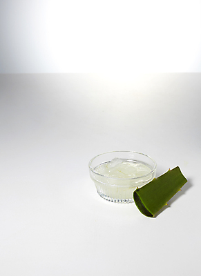 포토 JPG 그릇 회색배경 사람없음 뷰티 화장품 오브젝트 알로에 카피스페이스 알로에젤 국내포토 식물 식기 백그라운드 공백 회색 젤 파일형식