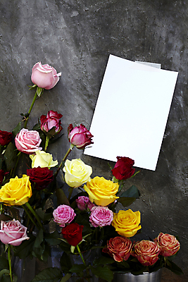 포토 JPG 종이 백그라운드 검은배경 사람없음 장미 오브젝트 카피스페이스 국내포토 꽃 검은색 공백 파일형식