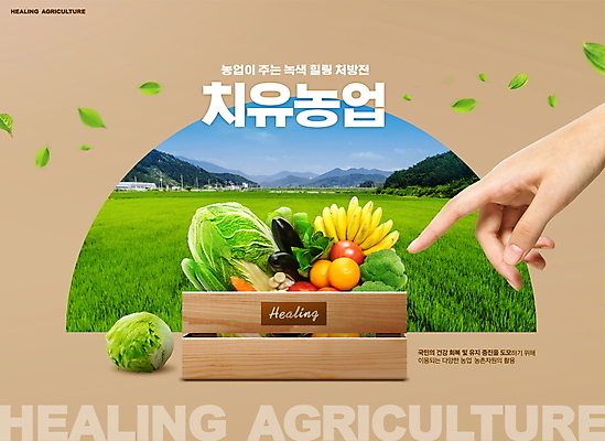 PSD 편집이미지 손 밭 채소 과일 자연 나뭇잎 초원 신체부위 농작물 갈색 농사 농촌 가리킴 나무상자 힐링 치유농업 이미지편집 컬러 잎 농업 사람 손짓 상자 시골 생태계 파일형식