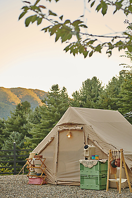 포토 JPG 주간 나뭇잎 텐트 캠핑도구 사람없음 야외 노을 캠핑 나뭇가지 소프트포커스 캠핑장 오브젝트 잡동사니 국내포토 자연요소 나무 잎 레저 촬영기법 도구 파일형식