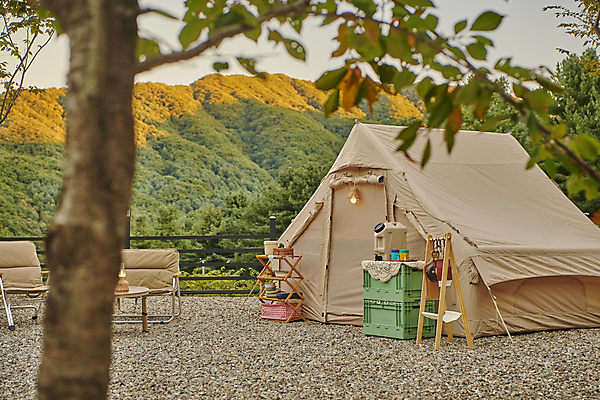 포토 JPG 주간 나무 텐트 캠핑도구 사람없음 야외 노을 캠핑 나뭇가지 소프트포커스 캠핑장 오브젝트 잡동사니 캠핑의자 국내포토 자연요소 식물 의자 레저 촬영기법 도구 파일형식