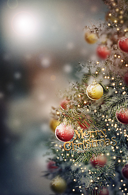 PSD 백그라운드 크리스마스장식 크리스마스 겨울 일러스트 사람없음 크리스마스트리 눈 감성 빛망울 조명장식 오너먼트 국내일러스트 자연요소 계절 기념일 컨셉 날씨 조명 장식 빛 파일형식