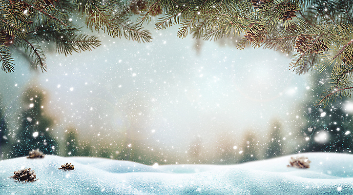 PSD 나무 백그라운드 겨울 일러스트 사람없음 설원 눈 솔방울 감성 솔잎 눈내림 눈덮임 국내일러스트 자연요소 식물 계절 컨셉 잎 날씨 눈_날씨 파일형식