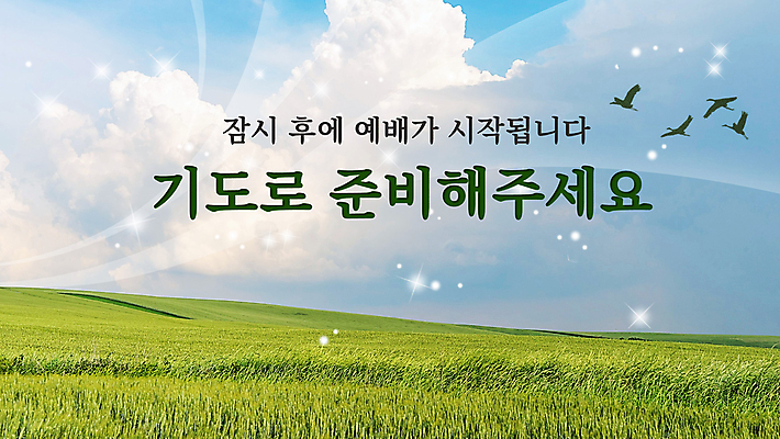 구름 템플릿 기독교 조류 하늘 초원 사람없음 기도 비행 PPT 프레젠테이션 준비 예배 애니형PPT 모션그래픽 MP4 모션템플릿 자연요소 동물 종교 동영상 파일형식