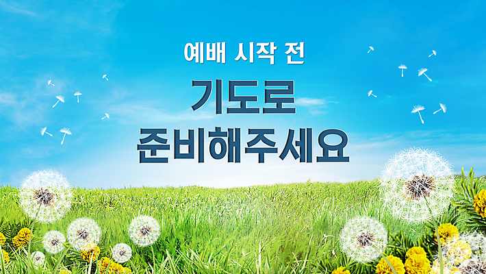 템플릿 기독교 하늘 초원 사람없음 기도 민들레 PPT 프레젠테이션 시작 준비 예배 민들레홀씨 애니형PPT 모션그래픽 MP4 모션템플릿 꽃 종교 동영상 파일형식
