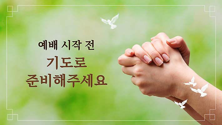 템플릿 손 기독교 조류 신체부위 기도 PPT 프레젠테이션 시작 준비 예배 손모으기 손맞잡기 애니형PPT 모션그래픽 MP4 모션템플릿 동물 종교 사람 손짓 손잡기 동영상 파일형식