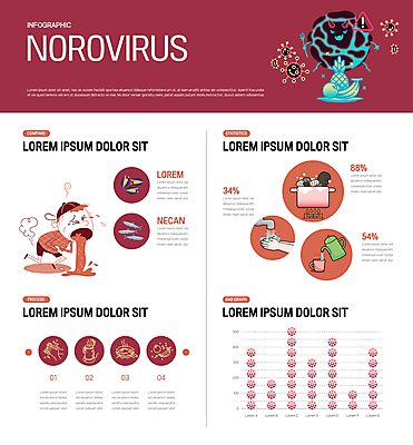 손 남자 어린이 겨울 일러스트 그래프 어패류 요리 한명 소년 신체부위 빨간색 인포그래픽 질병 해산물 손씻기 박테리아 구토 끓이기 식중독 위염 장염 소년한명만 노로바이러스 국내일러스트 AI파일 동물 1 계절 컬러 의학 모션 사람 바이러스 씻기 염증 증상 남자한명만 소년만 파일형식 벡터