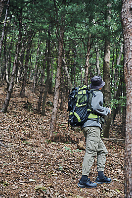 포토 JPG 주간 전신 나무 남자 여행 자연 나뭇잎 한명 성인 야외 옆모습 뒷모습 30대 청춘 맑음 등산 캠핑 한국인 숲속 힐링 등산가방 성인남자한명만 백패킹 국내포토 자연요소 식물 1 뷰포인트 컨셉 잎 가방 레저 날씨 사람 동양인 장년 레포츠 트래킹 숲 생태계 남자한명만 성인남자만 파일형식