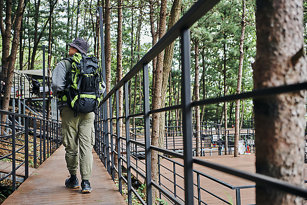 포토 JPG 주간 전신 나무 남자 여행 자연 한명 성인 야외 뒷모습 30대 청춘 걷기 맑음 한국인 소프트포커스 숲속 나무바닥 힐링 등산가방 데크 성인남자한명만 백패킹 국내포토 자연요소 식물 1 뷰포인트 컨셉 가방 모션 날씨 바닥 촬영기법 사람 동양인 장년 레포츠 숲 생태계 남자한명만 성인남자만 파일형식