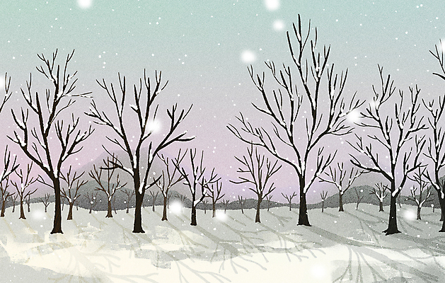 PSD 나무 백그라운드 겨울 일러스트 하늘 산 그림자 사람없음 회색 눈 눈송이 숲속 숲 숲길 감성 함박눈 눈내림 겨울풍경 눈덮임 국내일러스트 자연요소 식물 계절 길 컬러 컨셉 날씨 눈_날씨 풍경 파일형식