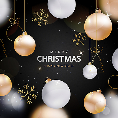 크리스마스장식 크리스마스 일러스트 눈꽃 사람없음 장식 반짝임 검은색 눈송이 빛망울 눈꽃무늬 트리모양 오너먼트 크리스마스배경 국내일러스트 AI파일 모양 기념일 컬러 백그라운드 무늬 모션 눈_날씨 빛 크리스마스트리 파일형식 벡터