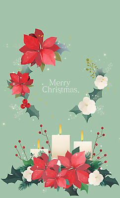 PSD 꽃 잎 크리스마스장식 크리스마스 일러스트 초 나뭇잎 사람없음 초록색 반짝임 포인세티아 목화꽃 호랑가시나무열매 국내일러스트 식물 기념일 열매 컬러 모션 파일형식