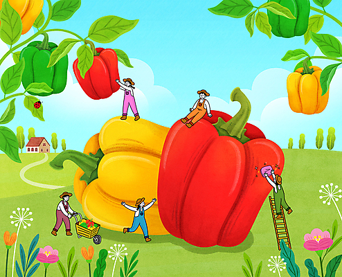 전신 PSD 여자 남자 꽃 일러스트 사다리 하늘 피망 파프리카 앉기 초원 여러명 성인 수레 만세 농부 유기농 닦기 소인 성인만 국내일러스트 식물 직업 웰빙 다수 채소 모션 사람 카트 도구 파일형식