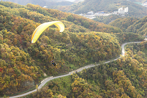 포토 JPG 주간 전신 여자 남자 도로 하늘 산 20대 성인 야외 두명 옆모습 레포츠 한국인 가을 비행 익스트림스포츠 패러글라이딩 단양 성인만 전경 국내포토 자연요소 계절 길 스포츠 뷰포인트 교통시설 레저 사람 동양인 풍경 청년 충청북도 파일형식 탑뷰