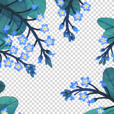 편집 편집이미지 누끼 사람없음 파란색 들꽃 PNG 물망초 편집소스 꽃마리 꽃 컬러 파일형식