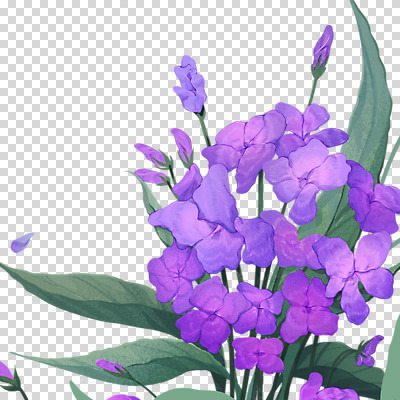 편집 편집이미지 잎 누끼 사람없음 보라색 들꽃 제비꽃 PNG 편집소스 식물 꽃 컬러 파일형식