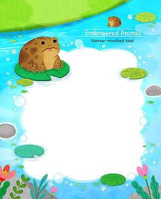 PSD 한마리 꽃 하늘색 일러스트 나뭇잎 프레임 개구리 사람없음 물 바위 연못 풀잎 비눗방울 연잎 멸종위기동물 프레임일러스트 맹꽁이 국내일러스트 멸종위기종 자연요소 식물 동물 1 잎 양서류 파란색 돌_바위 풀_식물 파일형식