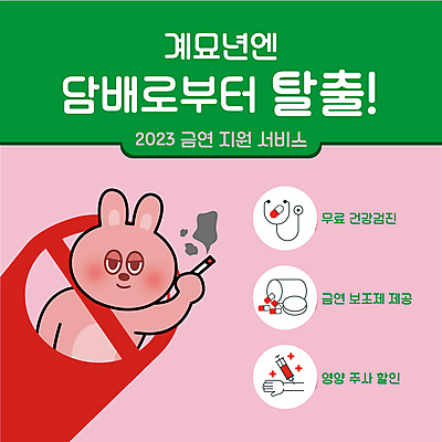 템플릿 한마리 분홍색 흡연 담배 들기 사람없음 초록색 금지 토끼 결심 PPT 프레젠테이션 토끼캐릭터 금연 건강검진 무료 지원 애니형PPT 모션그래픽 MP4 계묘년 모션템플릿 1 캠페인 컬러 동물캐릭터 컨셉 포유류 모션 반려동물 사회이슈 검사_조사 동영상 파일형식 2023년