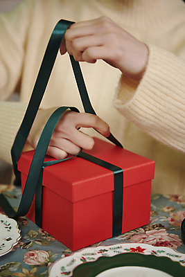 포토 JPG 우먼라이프 손 여자 리본 크리스마스 실내 선물포장 한명 근접촬영 상반신 20대 성인 앞모습 선물상자 파티 한국인 잡기 묶기 준비 성인여자한명만 국내포토 1 라이프스타일 기념일 뷰포인트 포장 모션 선물 사람 동양인 이벤트 청년 내부 신체부위 상자 여자한명만 성인여자만 파일형식