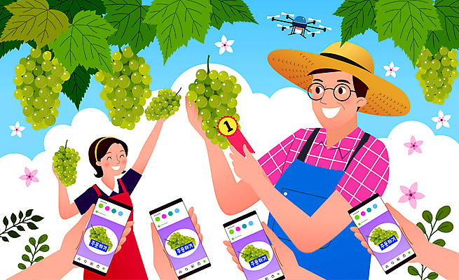 손 여자 남자 일러스트 모바일 들기 상반신 성인 두명 신체부위 스마트폰 농사 수확 농부 고객 청포도 밀짚모자 온라인쇼핑 주문 모바일쇼핑 과일따기 드론 소셜네트워크 포도따기 성인만 농켓팅 국내일러스트 AI파일 직업 모자_잡화 농업 모션 포도 사람 핸드폰 스마트기기 쇼핑 온라인 파일형식 벡터 산지직송