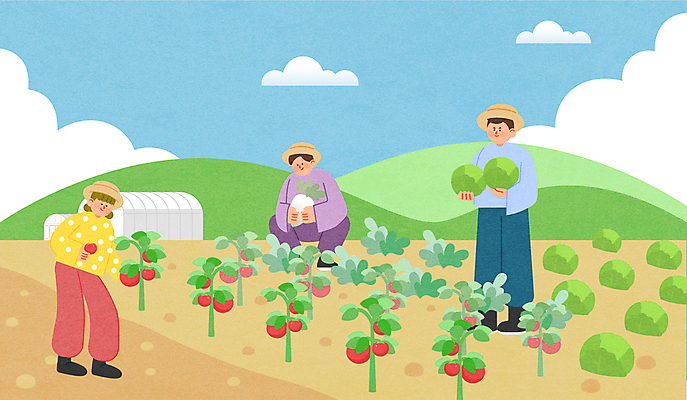 전신 구름 여자 남자 농업 토마토 일러스트 하늘 산 서기 들기 청년 성인 세명 농사 농촌 무 양배추 귀농 웅크림 텃밭 청년만 성인만 청년농부 국내일러스트 AI파일 자연요소 산업 밭 채소 모션 뿌리채소 사람 시골 농부 파일형식 벡터