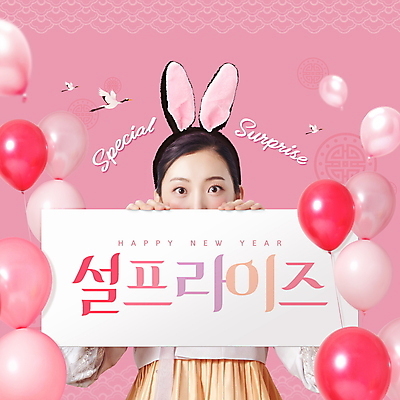 PSD 편집이미지 배너 여자 명절 분홍색 새해 프레임 한명 이벤트 상반신 20대 성인 타이포그라피 설날 전통문양 학 한국인 한복 토끼머리띠 풍선 서프라이즈 성인여자한명만 나오기 흑토끼 이미지편집 문자 1 한국전통 전통 문양 기념일 컬러 컨셉 모션 조류 사람 동양인 청년 토끼 머리띠 전통의상 여자한명만 성인여자만 파일형식