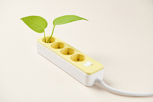 포토 JPG 스튜디오촬영 잎 사람없음 에너지 절약 그린에너지 콘센트 전기에너지 오브젝트 친환경 멀티탭 재생에너지 전기절약 국내포토 식물 컨셉 실내 환경 파일형식