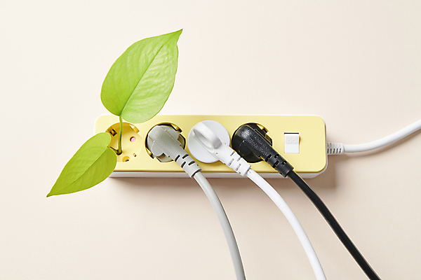 포토 JPG 스튜디오촬영 잎 사람없음 에너지 그린에너지 콘센트 플러그 전기에너지 오브젝트 친환경 멀티탭 재생에너지 국내포토 에너지의날 식물 기념일 실내 환경 파일형식
