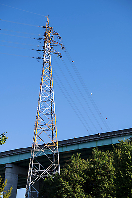 포토 JPG 주간 나무 하늘 사람없음 야외 에너지 전선 고가도로 전기에너지 송전탑 국내포토 자연요소 식물 탑 고속도로 파일형식