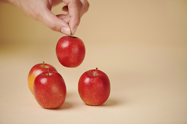 포토 JPG 스튜디오촬영 손 디저트 들기 신체부위 여러개 잡기 비교 크기 건강식 들어올리기 주황색배경 미니사과 국내포토 음식 다수 백그라운드 컨셉 모션 실내 사람 주황색 사과 파일형식