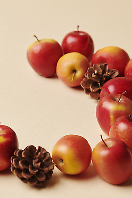 포토 JPG 스튜디오촬영 디저트 프레임 사람없음 여러개 작음 솔방울 건강식 주황색배경 미니사과 국내포토 음식 다수 백그라운드 실내 주황색 사과 크기 파일형식