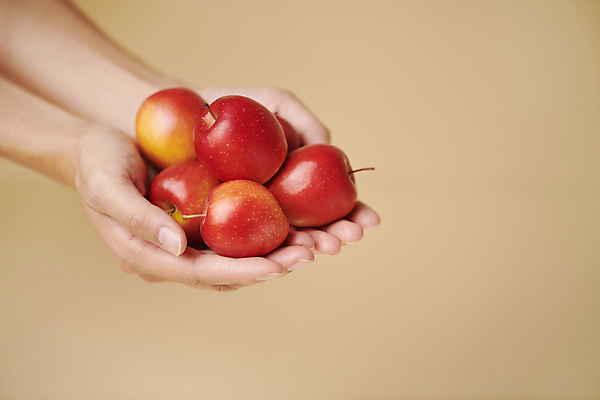 포토 JPG 스튜디오촬영 손 디저트 들기 신체부위 여러개 작음 손모으기 건강식 주황색배경 미니사과 국내포토 음식 다수 백그라운드 모션 실내 사람 손짓 주황색 사과 크기 파일형식