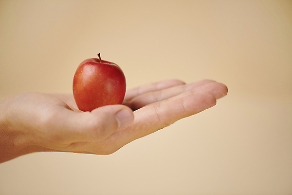 포토 JPG 스튜디오촬영 손 디저트 들기 신체부위 비교 크기 건강식 주황색배경 미니사과 국내포토 음식 백그라운드 컨셉 모션 실내 사람 주황색 사과 파일형식