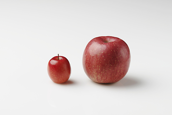 포토 JPG 스튜디오촬영 디저트 사람없음 두개 비교 사과 크기 흰배경 건강식 미니사과 국내포토 음식 백그라운드 컨셉 2 과일 실내 흰색 파일형식