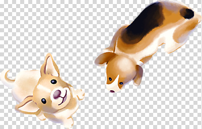 편집 편집이미지 응시 반려견 누끼 사람없음 반려동물 하이앵글 갈색 올려보기 강아지 비글 치와와 PNG 편집소스 동물 시선 뷰포인트 컬러 모션 개 파일형식