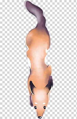 편집 편집이미지 한마리 서기 누끼 사람없음 하이앵글 여우 PNG 편집소스 붉은여우 1 뷰포인트 포유류 모션 파일형식