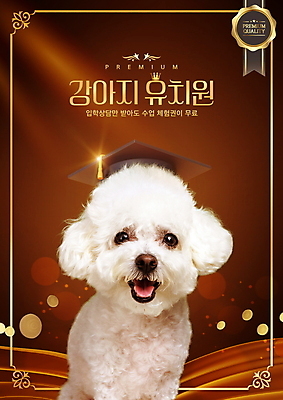 PSD 편집이미지 한마리 반려견 학사모 입벌림 타이포그라피 사람없음 빛 반짝임 반려동물 갈색 유치원 금색 강아지 실크 테두리 배지 원아모집 애견유치원 이미지편집 동물 문자 모자_잡화 1 교육 컬러 졸업 모션 표정 직물 개 모집 원아 파일형식