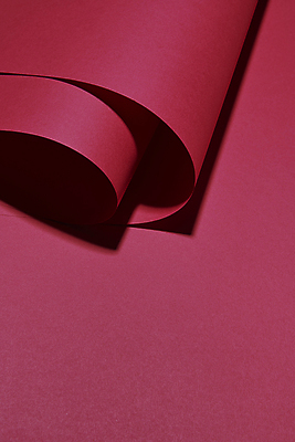 포토 JPG 스튜디오촬영 종이 실내 그림자 사람없음 자주색 오브젝트 심플 빨간배경 말린_둥글게 트렌드컬러 비바마젠타 국내포토 컬러 백그라운드 컨셉 내부 빨간색 파일형식