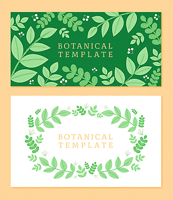 백그라운드 잎 일러스트 명함 프레임 사람없음 초록색 흰색 풀잎 감성 꽃프레임 잎줄기 보테니컬아트 국내일러스트 AI파일 카드프레임 식물 꽃 줄기 컬러 컨셉 풀_식물 파일형식 벡터