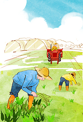 PSD 남자 밭 일러스트 허리숙이기 성인 세명 농사 벼 농부 농기구 비닐하우스 모내기 모종 봄맞이 성인남자만 국내일러스트 직업 농업 곡류 숙이기 사람 봄 남자만 성인만 파일형식